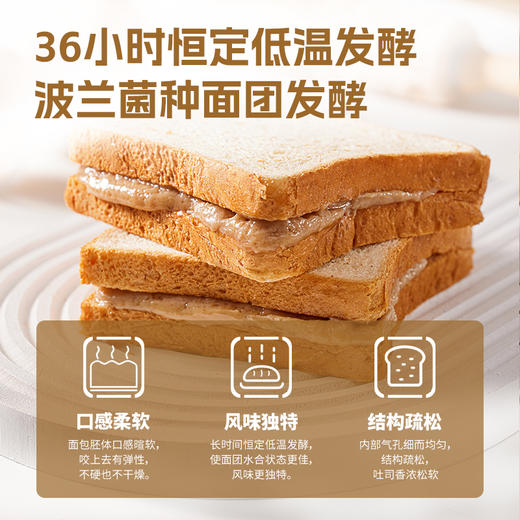 泰甄选 新加坡 面包新语花生酱夹心吐司全麦面包 90g/包学生早餐代餐速食零食小吃 商品图2