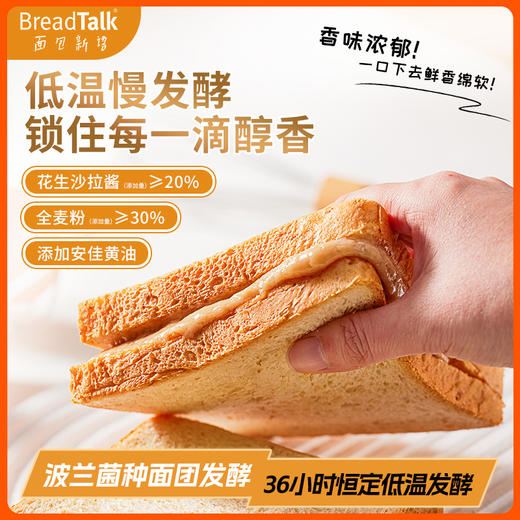 泰甄选 新加坡 面包新语花生酱夹心吐司全麦面包 90g/包学生早餐代餐速食零食小吃 商品图0