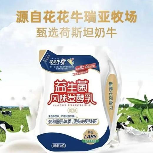 花花牛 系列酸奶 益生菌/纯牛奶随机发不指定 学生早餐奶老酸奶 145-180g/袋 商品图5
