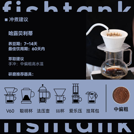 埃塞俄比亚 耶加雪菲 哈露 水洗 商品图3