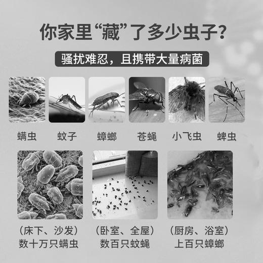 热卖！AIRUSH 除虫魔盒 除虫小绿盒 驱虫神器 简单便携 80g/盒 商品图1