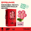 RICH FLOWER 有钱花 毛绒摆件 60CM 红色 大号创意摆件礼品送礼送女友 商品缩略图4