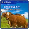 草原姑娘风干牛肉干100g*5袋 原味、香辣味  方便携带 商品缩略图3