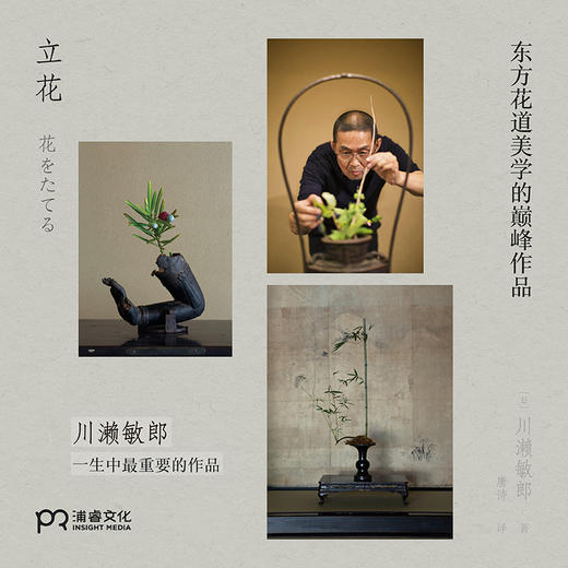 立花 [日]川濑敏郎 商品图3