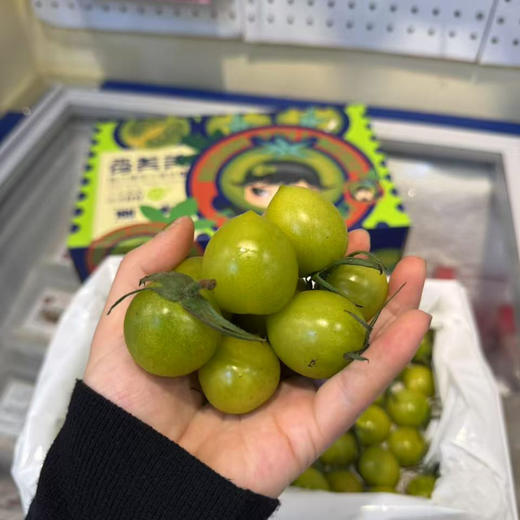 青番茄 青霞番茄ppp 商品图0