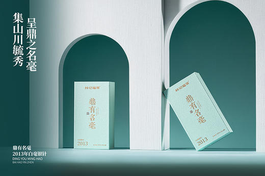 鼎有名毫·白毫银针2013·礼盒装60g(5g*2*6) 商品图3