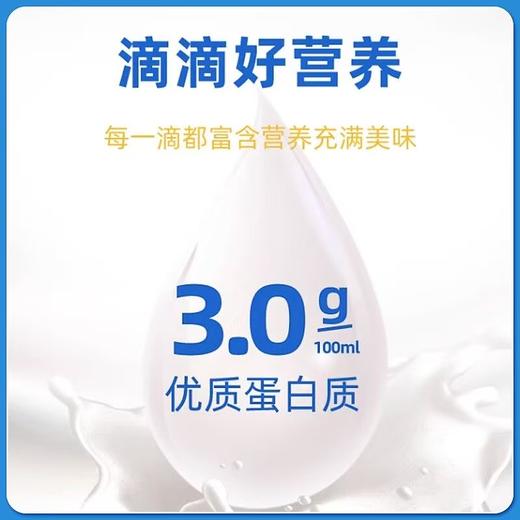 花花牛 鲜牛奶 纯牛奶生牛乳 短保牧场原奶透明袋装180g营养早餐奶 商品图2
