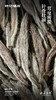 鼎有名毫·白毫银针2018·礼盒装60g(5g*2*6) 商品缩略图6