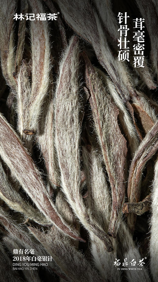 鼎有名毫·白毫银针2018·礼盒装60g(5g*2*6) 商品图6