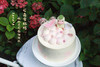 可爱蜜桃鸭·桃桃茉莉奶油蛋糕（可备注少糖） 商品缩略图0