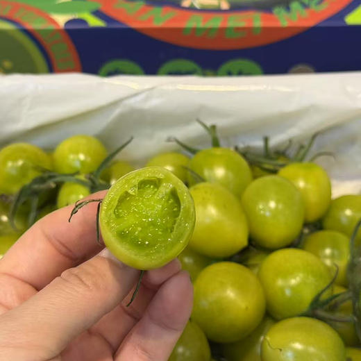 青番茄 青霞番茄ppp 商品图3