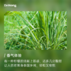 柠檬草 植物香薰精油 商品缩略图1