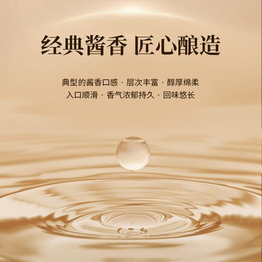 一价到底【茅台集团·茅坛酒】茅台集团嫡系好酒，贵州茅台镇核心产区酿造，同宗同源，一脉相承，酱香醇厚，回味悠长! 商品图1