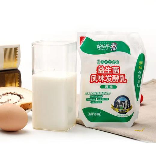 花花牛酸奶益生菌原味低脂0糖酸奶营养早餐奶180g 商品图3