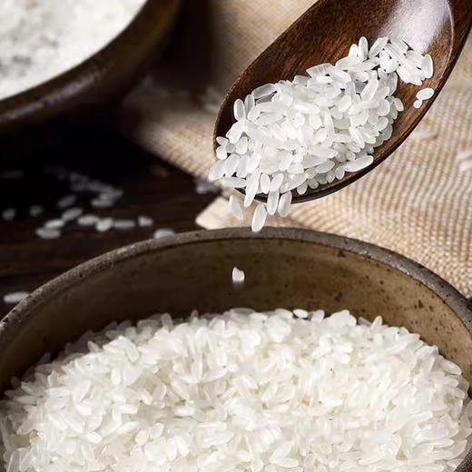 龙凤臻淳五常大米2.5kg/袋 商品图4