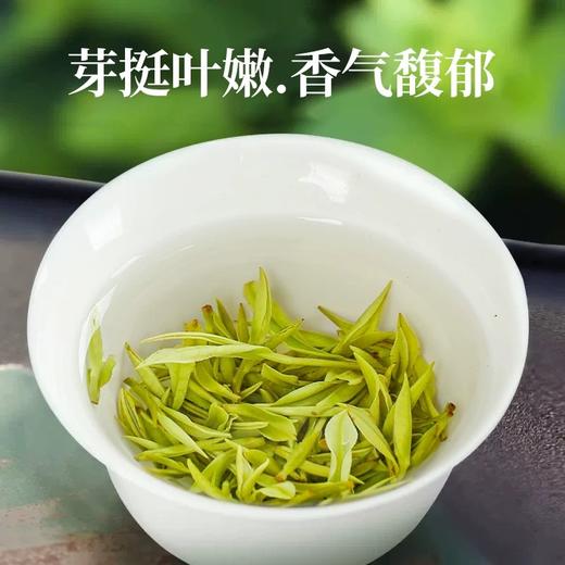 诗经贡·武当山茶 绿茶250g/袋【全国包邮，部分地区除外】 商品图2