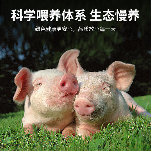 【锁鲜装】腰花200g/盒 商品图5