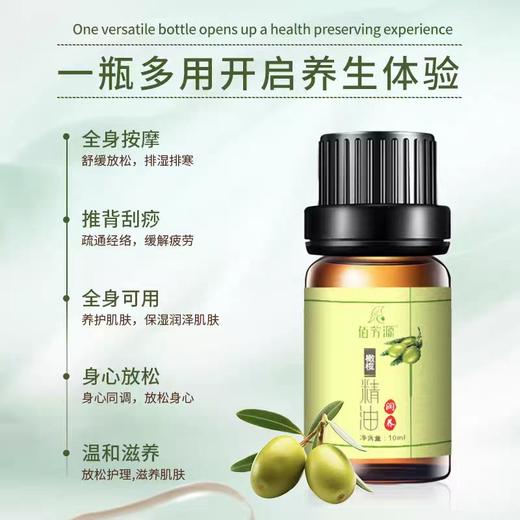橄榄按摩精油10ml开背推拿油推背面部刮痧spa美容院专用 商品图1