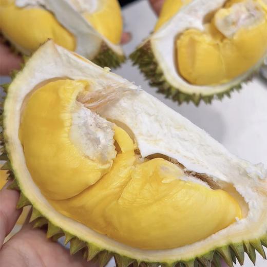 托曼尼巴掌榴莲 香甜小猫山王 商品图0