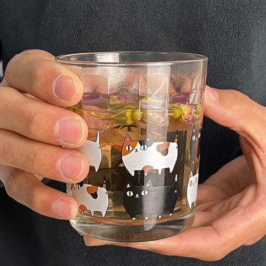 【清仓特惠4折】日本进口和蓝玻璃杯可爱猫咪三兄弟印花水杯家用透明牛奶杯子【不支持补差，非质量问题不退不换】S 商品图2