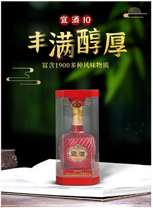 宣酒 宣10 浓芝兼香型白酒 42度480ml/瓶【BH】【YGMP】 商品图0