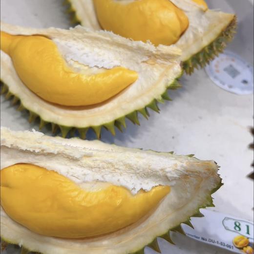 托曼尼巴掌榴莲 香甜小猫山王 商品图1