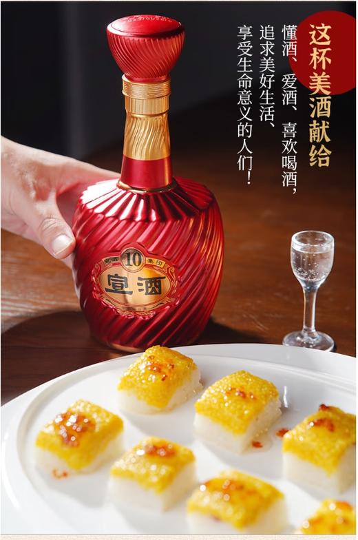 宣酒 宣10 浓芝兼香型白酒 42度480ml/瓶【BH】【YGMP】 商品图1