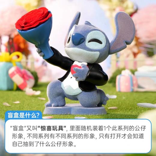 柏治廷盲盒 商品图12