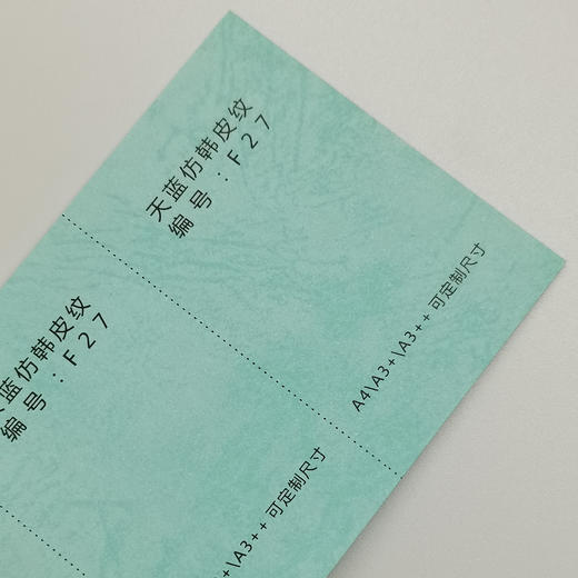 仿皮纹封面纸180g 商品图6