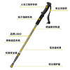 飞图乐-铝合金三节登山杖【露营产品】LP 商品缩略图2