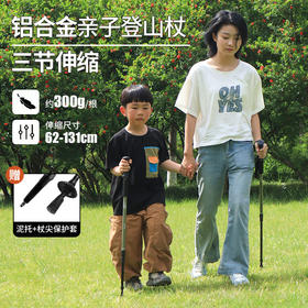 飞图乐-铝合金三节登山杖【露营产品】LP