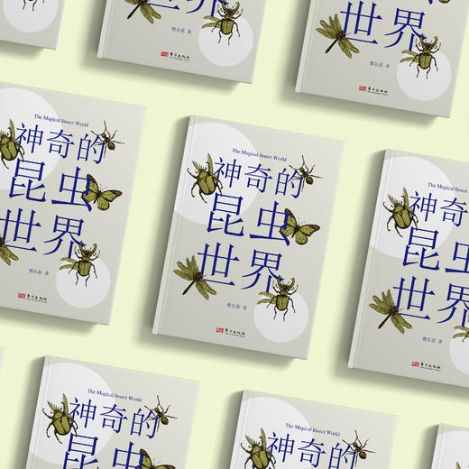 《神奇的昆虫世界》 商品图2