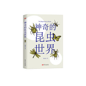 《神奇的昆虫世界》