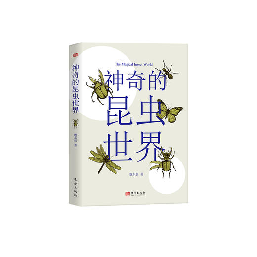《神奇的昆虫世界》 商品图0