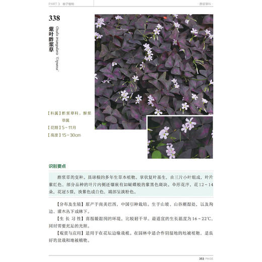 《600种郊野植物图鉴》 商品图12
