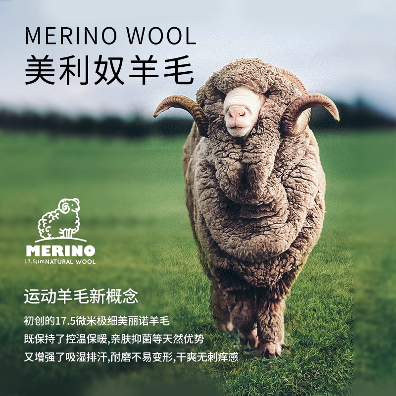 [五一福利]灰壳夏季美利奴羊毛速干衣户外运动百搭男士打底圆领t美丽诺短袖