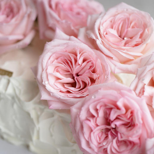 「卓卓高」TableCake｜「粉玫瑰之恋」玫瑰荔枝奶油长桌糕 商品图5