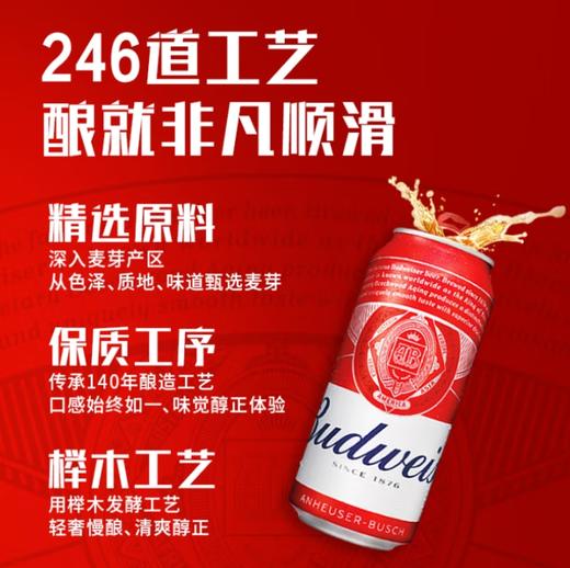 百威经典红罐500ml 商品图2