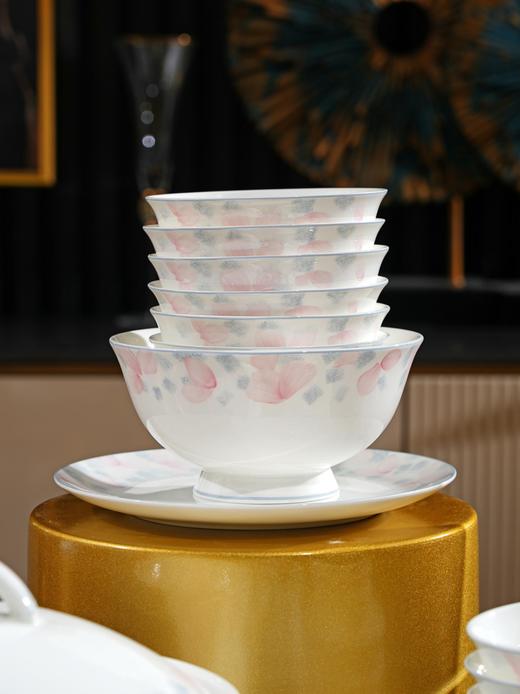 凡瑞斯花妍（釉中彩）10人用48头骨瓷餐具 商品图2