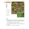 《600种郊野植物图鉴》 商品缩略图10