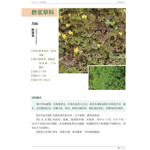 《600种郊野植物图鉴》 商品图10