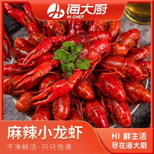 海大厨-麻辣小龙虾 商品图0