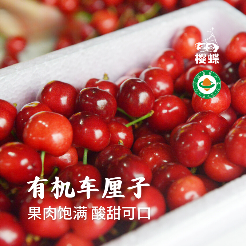 【预售 】有机大樱桃车厘子 预计5月10日开始发货 酸甜可口 果味浓郁 顺丰空运 1.9/2.9斤 白鹿原樱蝶农场