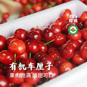 【预售 】有机大樱桃车厘子 预计5月10日开始发货 酸甜可口 果味浓郁 顺丰空运 1.9/2.9斤 白鹿原樱蝶农场