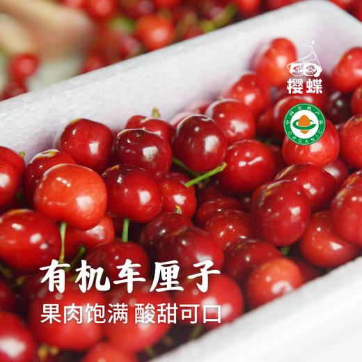 【预售 】有机大樱桃车厘子 预计5月10日开始发货 酸甜可口 果味浓郁 顺丰空运 1.9/2.9斤 白鹿原樱蝶农场 商品图0