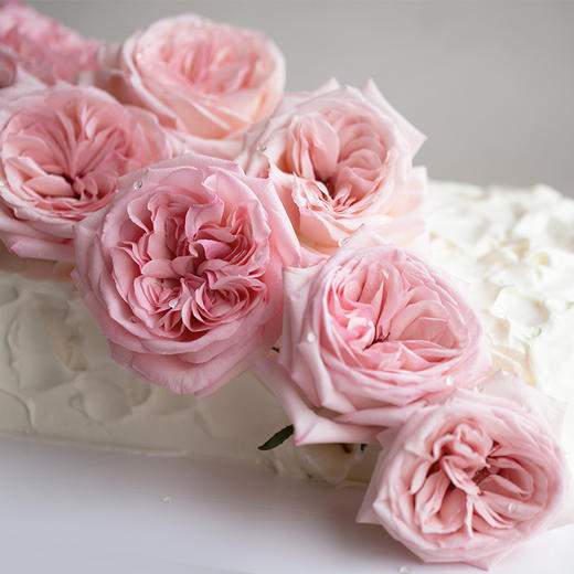 「卓卓高」TableCake｜「粉玫瑰之恋」玫瑰荔枝奶油长桌糕 商品图3