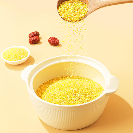 燕之坊 有机金玉黄小米（立袋500g）五谷杂粮粥 小米粥 易煮 48小时发货 商品图2