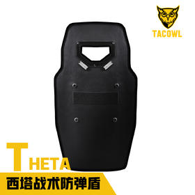 THETA西塔战术防弹盾