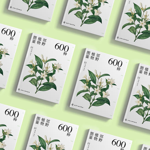 《600种郊野植物图鉴》 商品图2