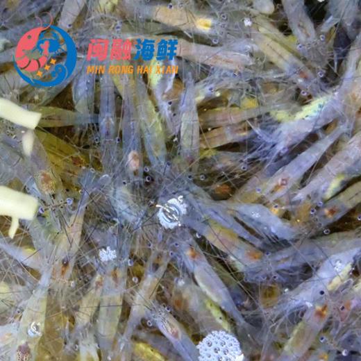 海水小白虾 /斤 商品图0